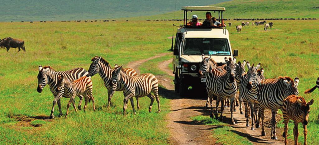 5 Days Tanzania Safari from Zanzibar