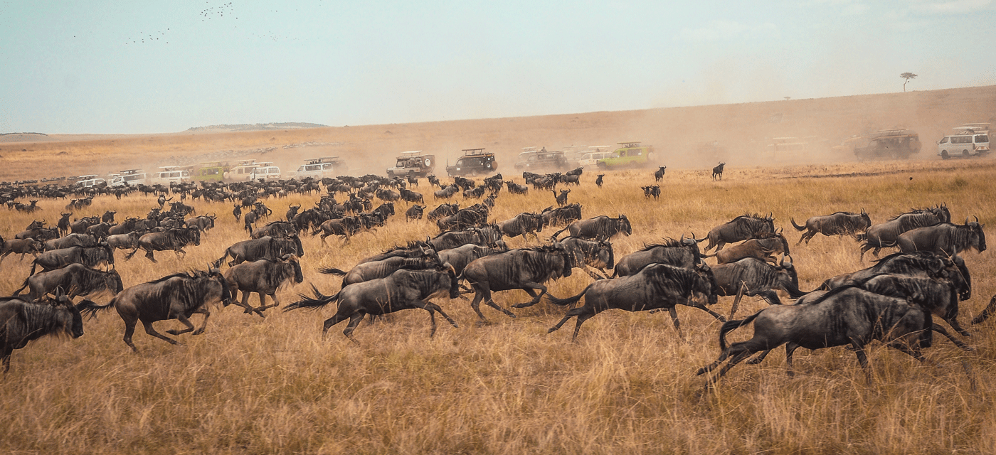 4 Days Serengeti Great Migration Safari