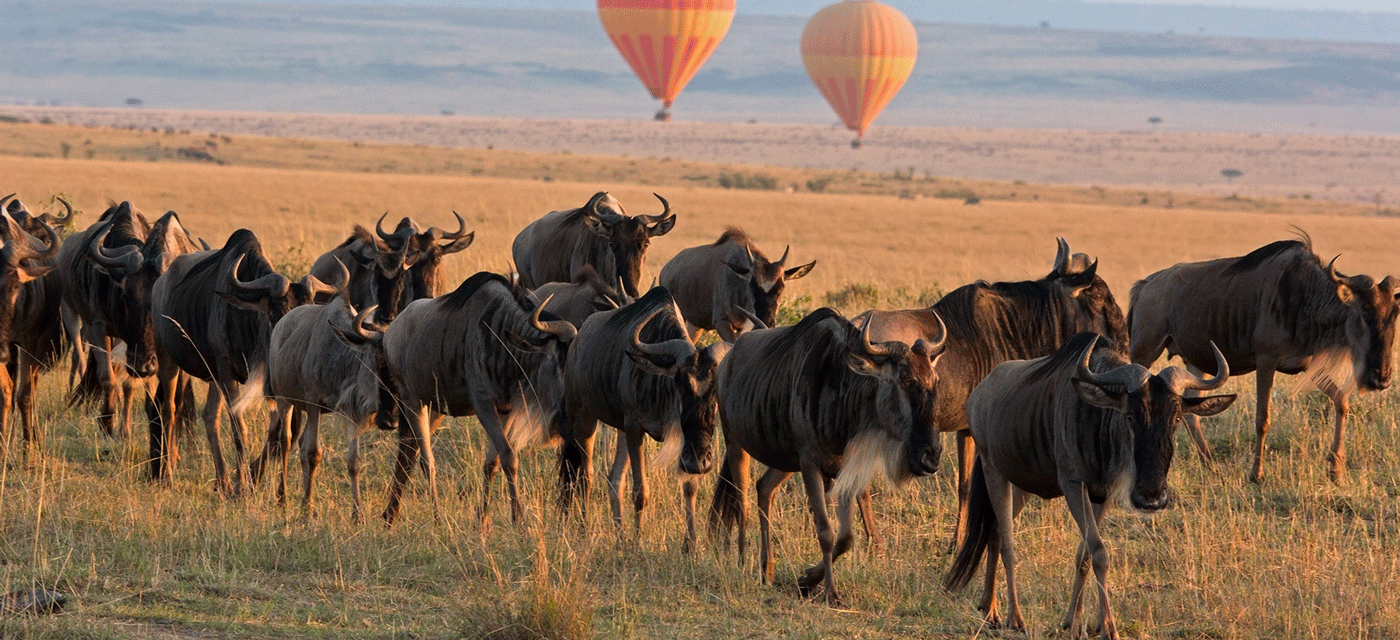 Fascinating Facts About Serengeti National Park