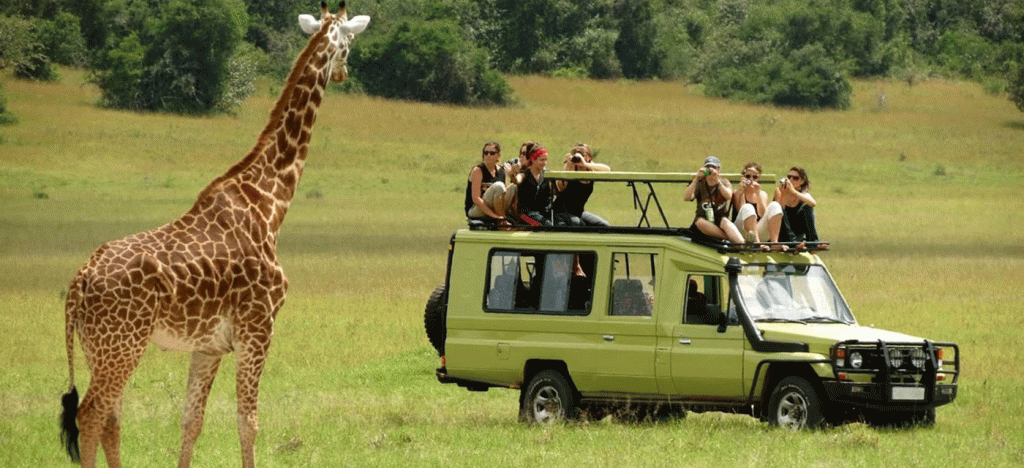 Group Safari vs Solo Travel in Serengeti Pros and Cons