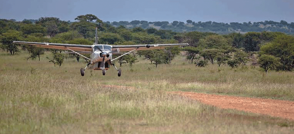 7 Days Tanzania Luxury Fly-In Safari
