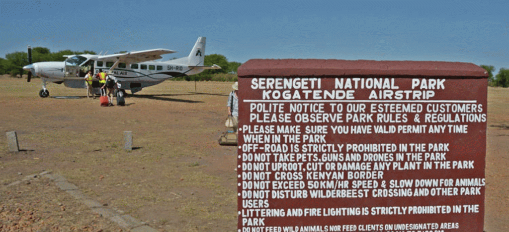 3 Days Serengeti Fly-in and Fly-Out Safari from Arusha