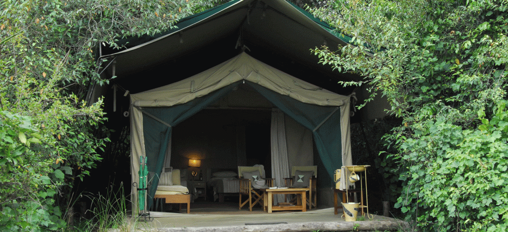 Budget Serengeti Safari Tours Without Compromising Experience