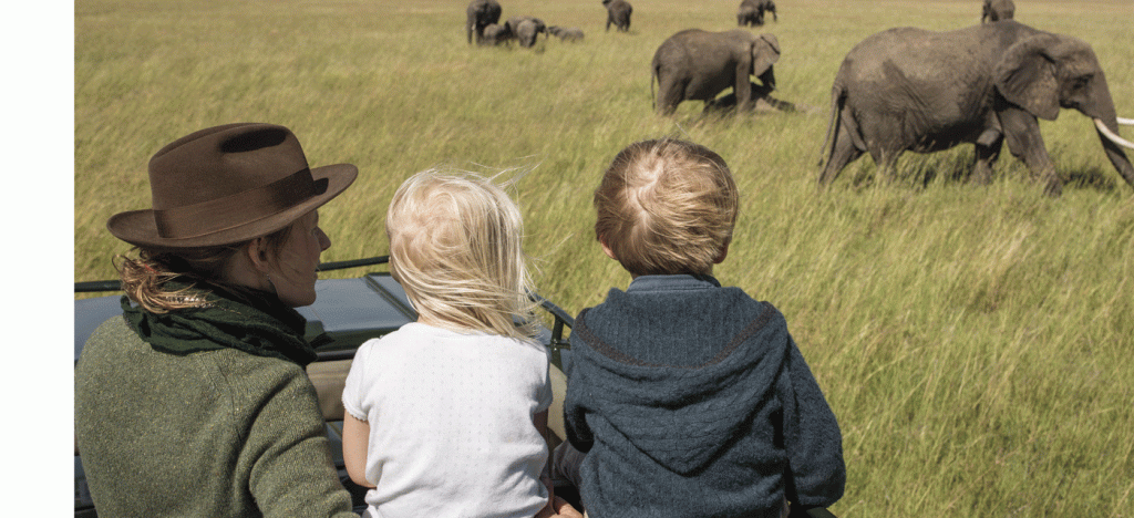 Family Safari Experience in Serengeti National Park 