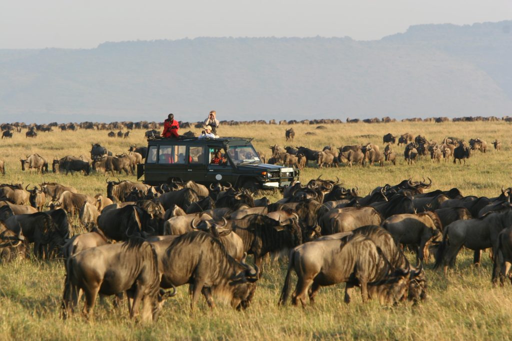 Shared Serengeti Safari Packages with Guaranteed Departures