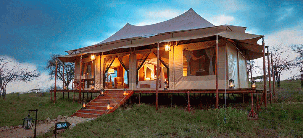Custom Serengeti Safari Tours Tailored to Your Travel Style