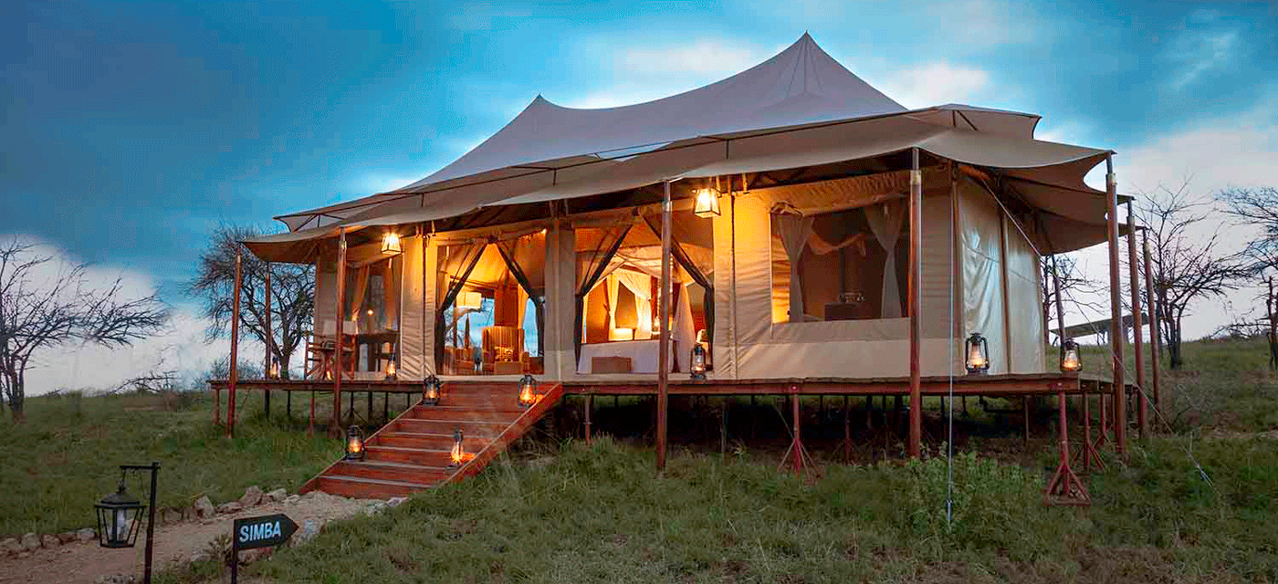 Best Affordable Camps in Serengeti for Backpackers