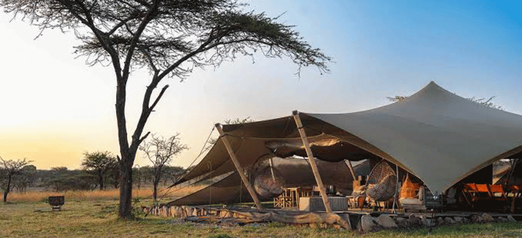 Accommodation for Safari