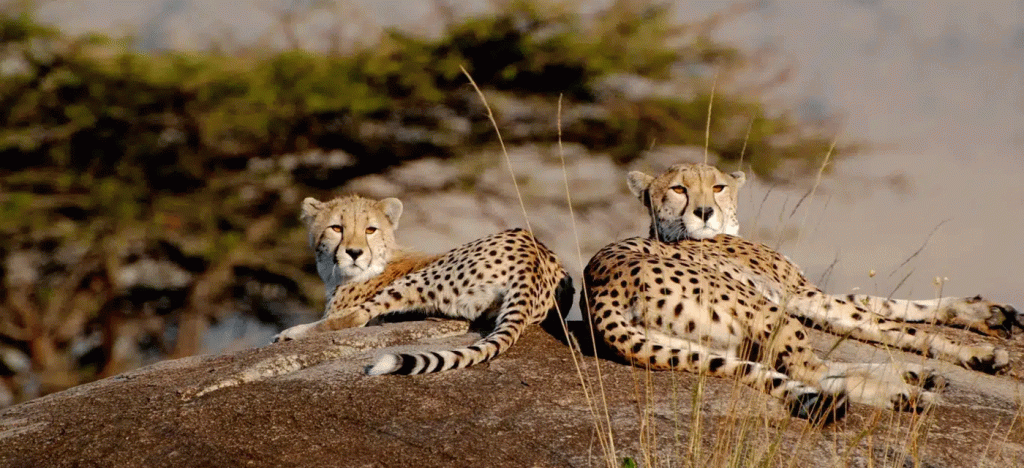 Serengeti National Park