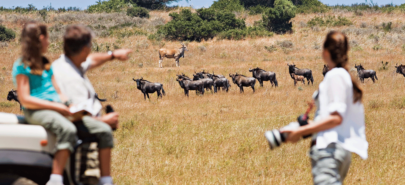 Serengeti Safari Complete Booking Guide