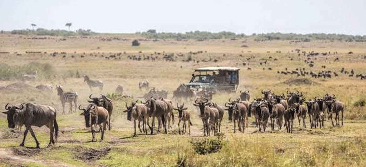 Why the Serengeti is the Ultimate Luxury Safari Destination