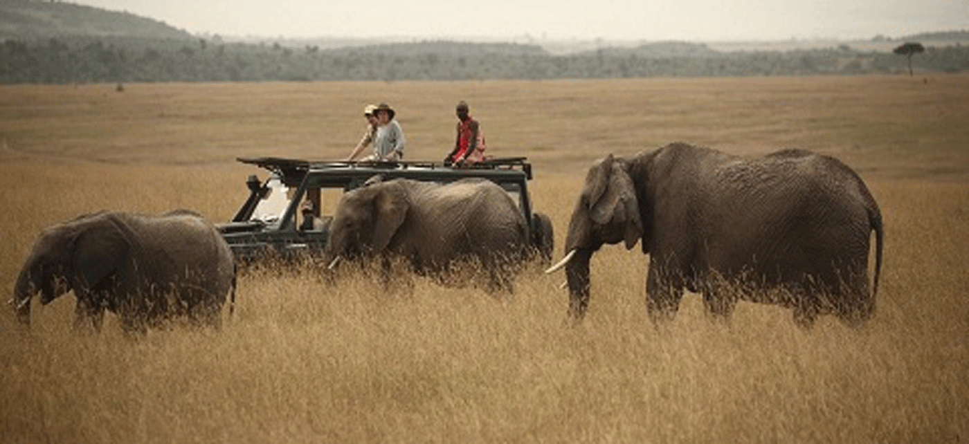Why Book Your Serengeti Safari with a Local Tanzanian Operator