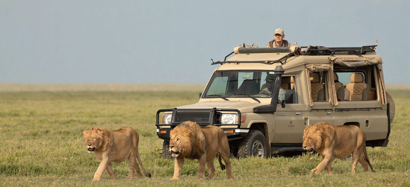 Serengeti Safari with Local Experts Best Packages