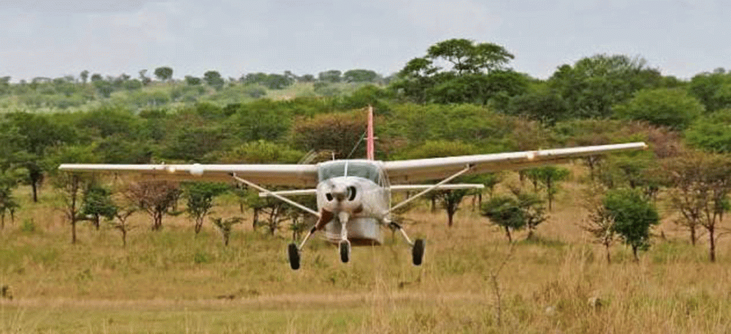 Luxury Fly-In Serengeti Safari Packages for Premium Travelers