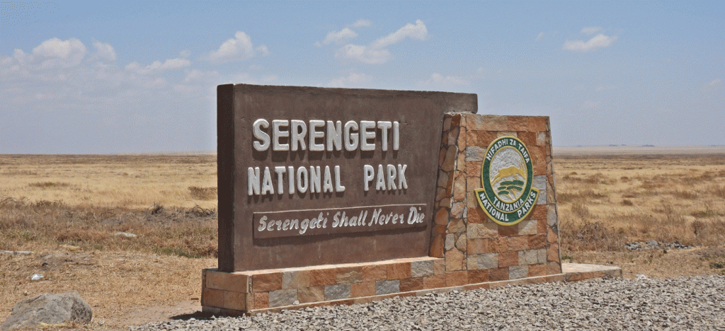 How to Choose the Right Serengeti Safari Tour Operator in Tanzania