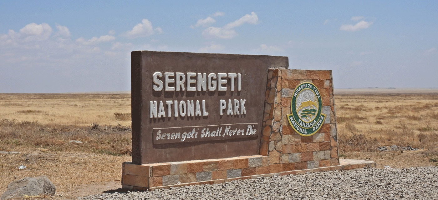 Why Serengeti Is the Best Choice for safaris