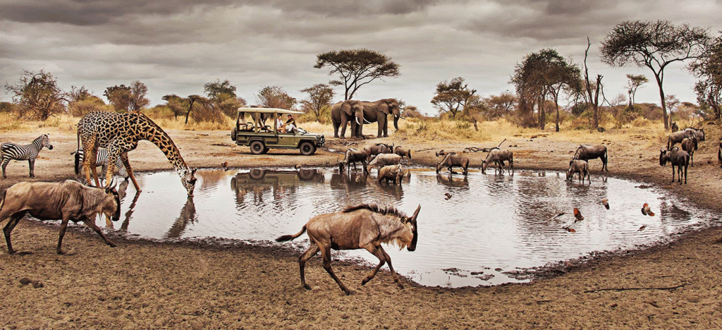 Serengeti national park