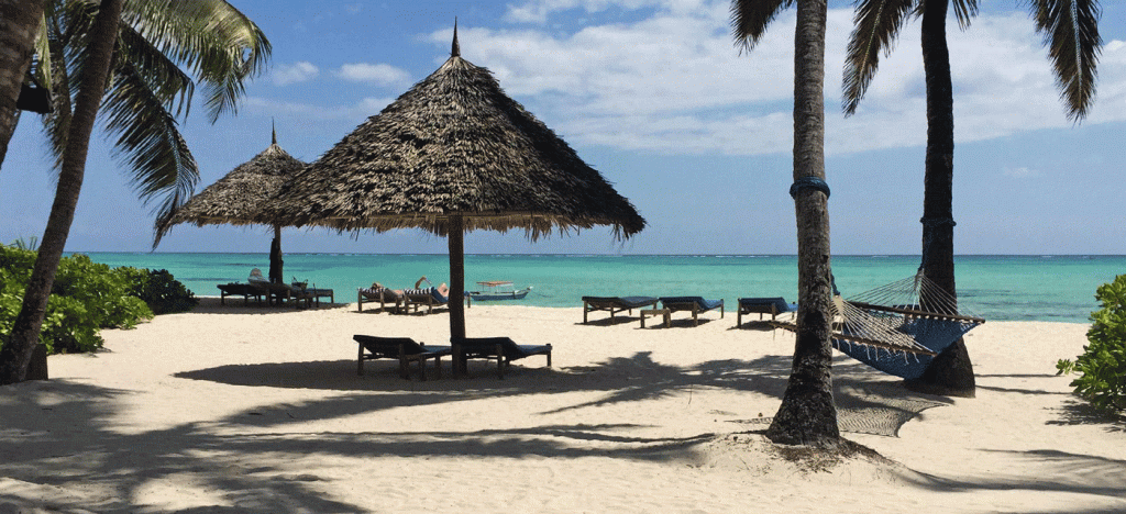 Luxury Fly-In Serengeti Safari Packages for Premium Travelers