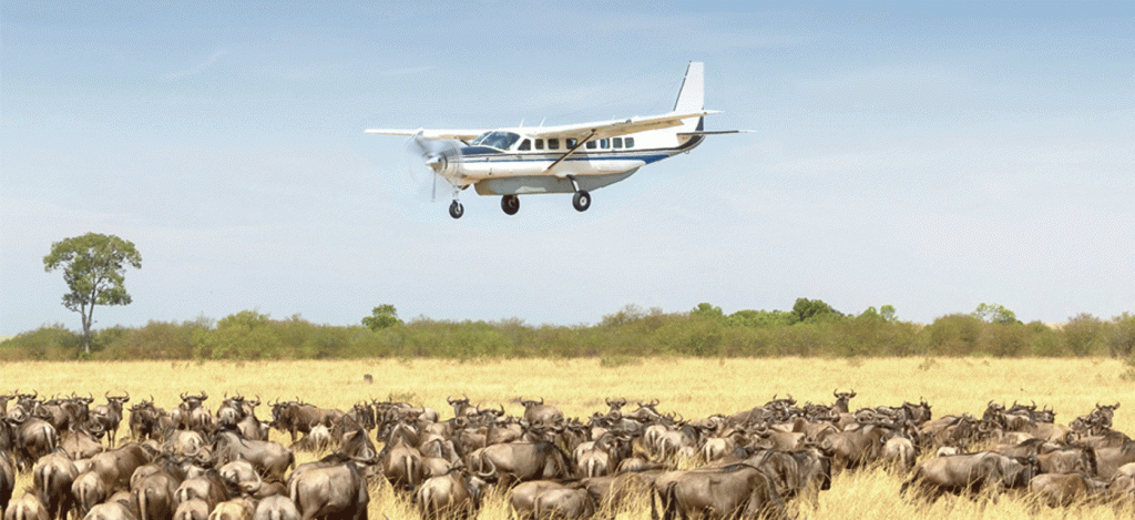 Serengeti Safari Package from Zanzibar Flight and Package Deals