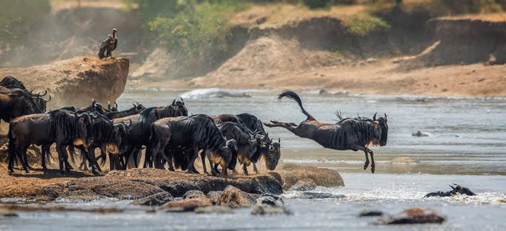 Serengeti National Park