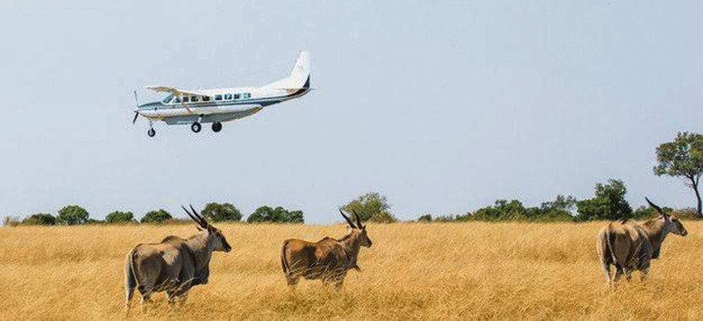 7 Days Tanzania Safari and Zanzibar Beach Holiday