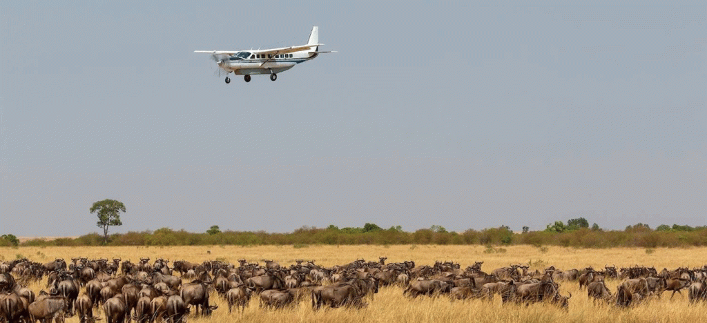Why Serengeti Is the Heart of African Safari