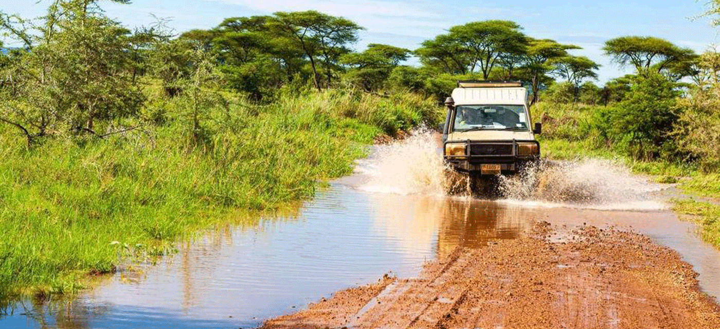 Ndutu Calving Season Safari Weather and Packing Guide