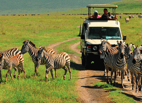 5 Days Tanzania Safari from Zanzibar