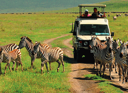 5 Days Tanzania Safari from Zanzibar