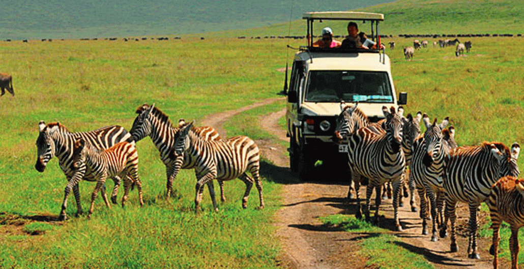 5 Days Serengeti Safari