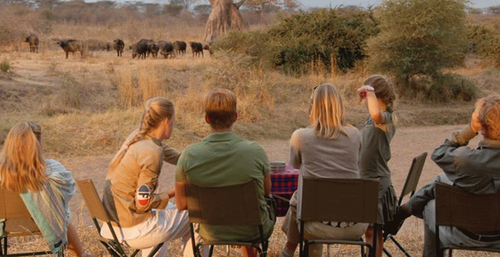 Family-Friendly Big Five Safari Adventures