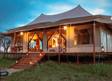 Where to Stay in Ndutu for the Calving Season Safari