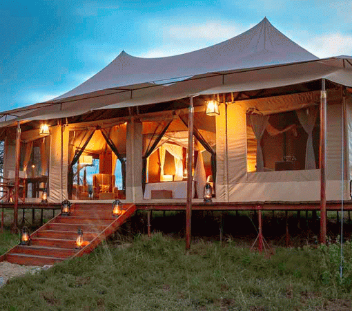 Best Affordable Camps in Serengeti for Backpackers