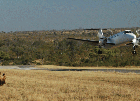 4 Days Fly-In Serengeti Safari