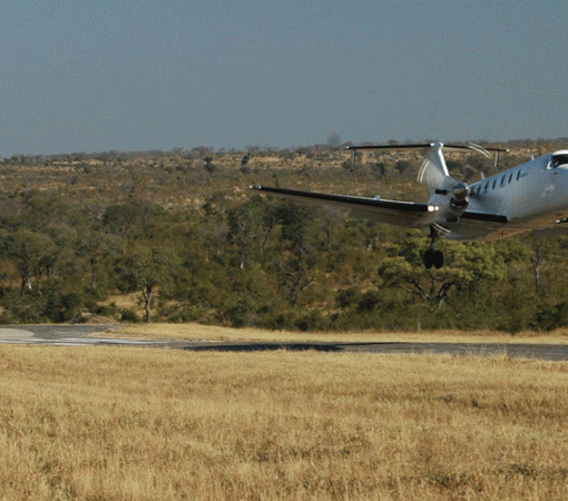 4 Days Fly-In Serengeti Safari
