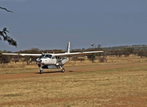 3 Days Fly-In Serengeti Great Migration Safari