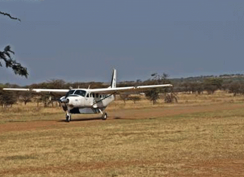 3 Days Fly-In Serengeti Great Migration Safari