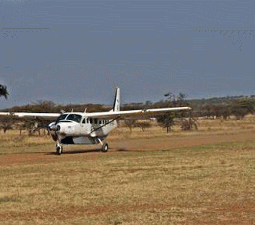 3 Days Fly-In Serengeti Great Migration Safari