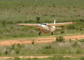 5 Day Fly-In Serengeti Safari