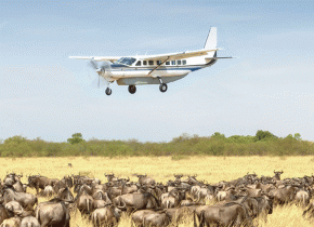 Why Early Booking for Serengeti Safaris Saves You Money