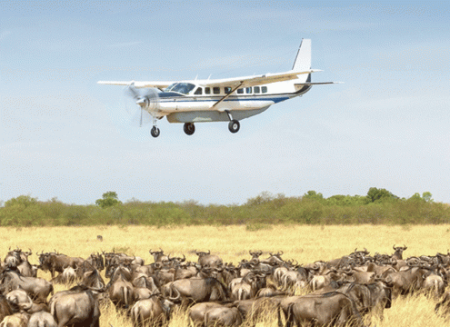 Why Early Booking for Serengeti Safaris Saves You Money