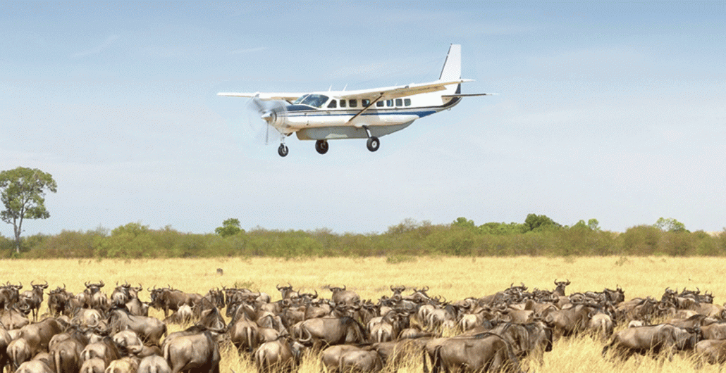 Why Early Booking for Serengeti Safaris Saves You Money