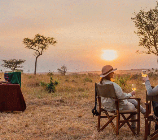 Eco-Friendly Safaris in Serengeti