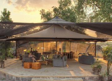 camp for Migration Safari