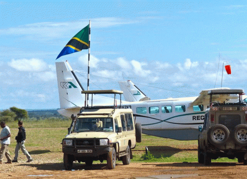 3 Days Fly-In Serengeti Great Migration Safari