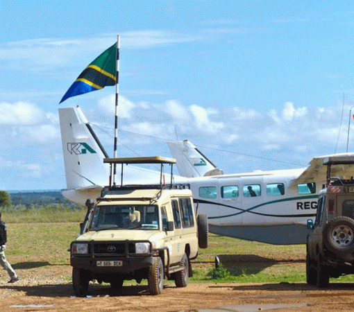 3 Days Fly-In Serengeti Great Migration Safari