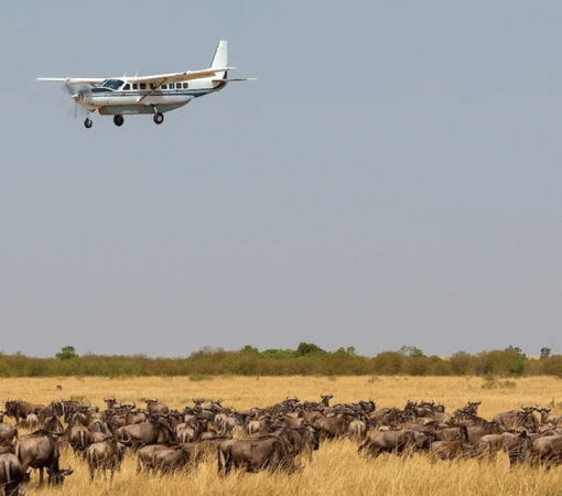 Flying to Serengeti National Park
