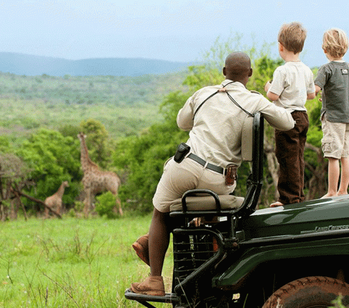 Family Safari in Serengeti: Tips for Traveling with Kids