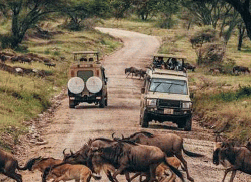 5 Days Serengeti Fly-In Safari – Two Zones, Four Dawns