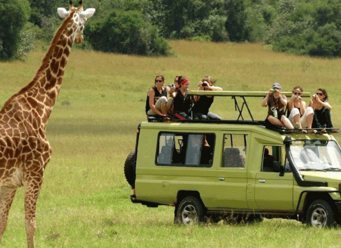 4 Days Tanzania Safari